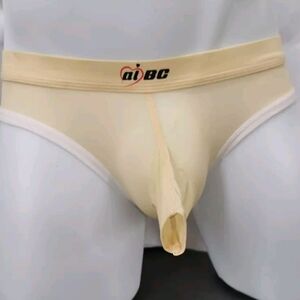 Ultra Thin Briefs Mesh Transparent Underwear Elephant Nose Sexy Lingerie SZ XL